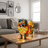 Vibrant Pomeranac